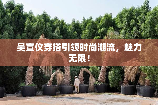 吴宣仪穿搭引领时尚潮流，魅力无限！