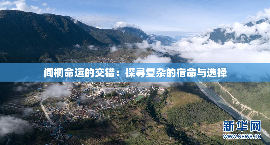 间桐命运的交错：探寻复杂的宿命与选择