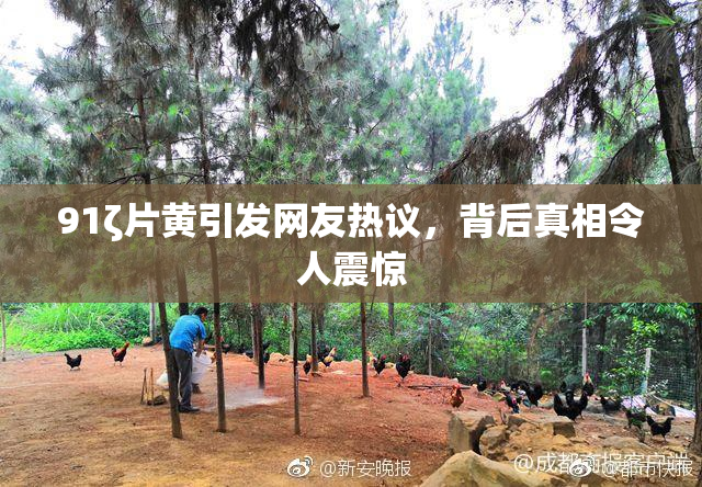 91ζ片黄引发网友热议，背后真相令人震惊