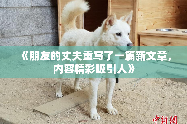 《朋友的丈夫重写了一篇新文章，内容精彩吸引人》