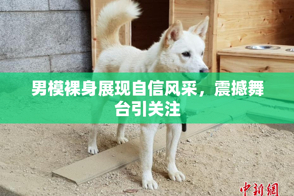 男模裸身展现自信风采，震撼舞台引关注
