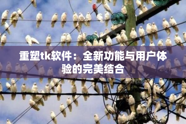 重塑tk软件：全新功能与用户体验的完美结合