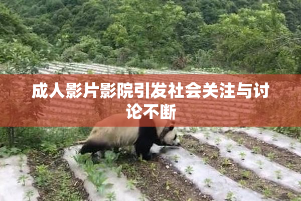 成人影片影院引发社会关注与讨论不断