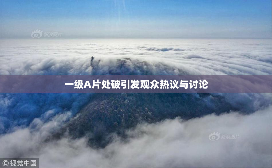 一级A片处破引发观众热议与讨论