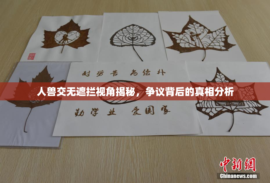 人兽交无遮拦视角揭秘，争议背后的真相分析