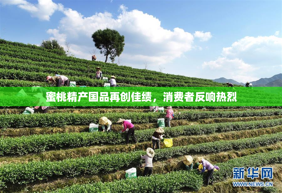 蜜桃精产国品再创佳绩，消费者反响热烈