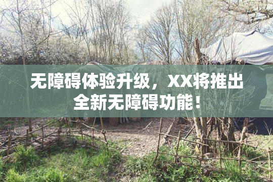 无障碍体验升级，XX将推出全新无障碍功能！