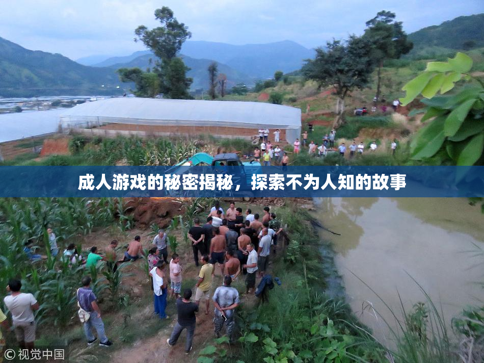 成人游戏的秘密揭秘，探索不为人知的故事