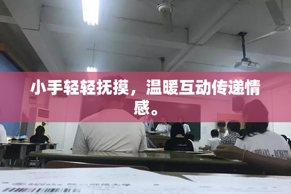 小手轻轻抚摸，温暖互动传递情感。