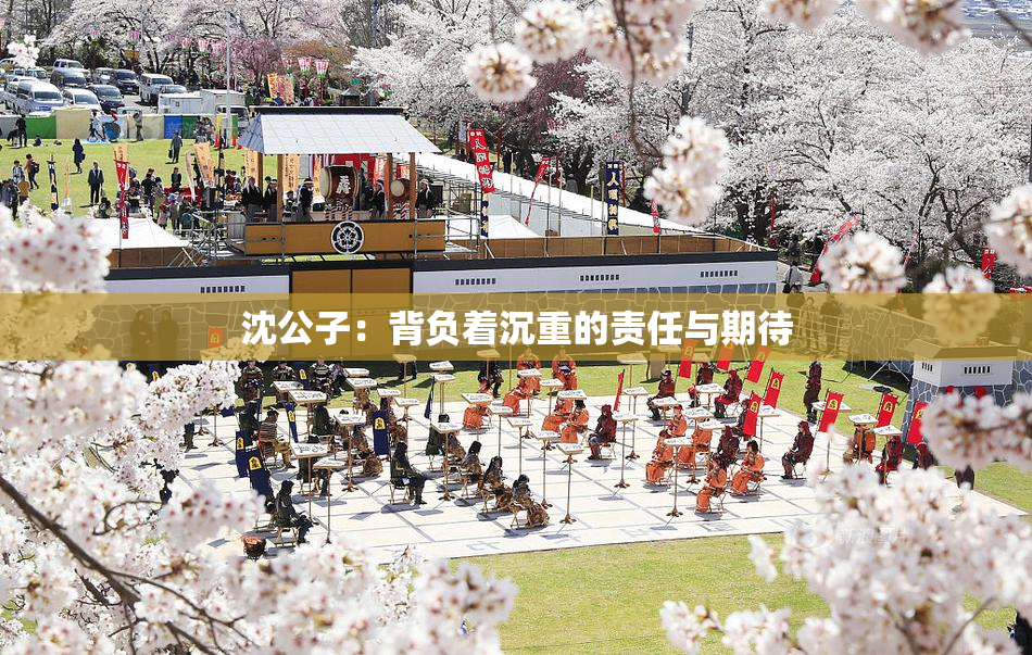 沈公子：背负着沉重的责任与期待