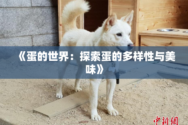 《蛋的世界：探索蛋的多样性与美味》