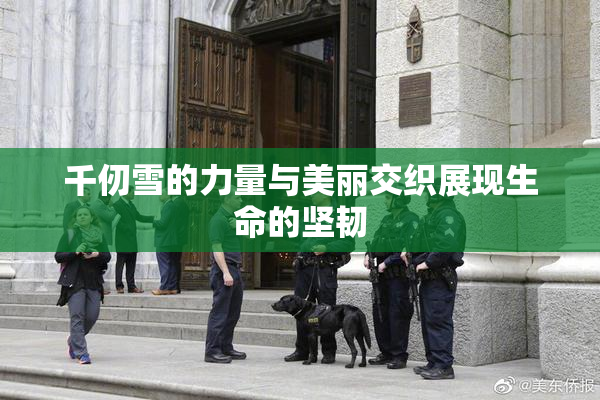 千仞雪的力量与美丽交织展现生命的坚韧