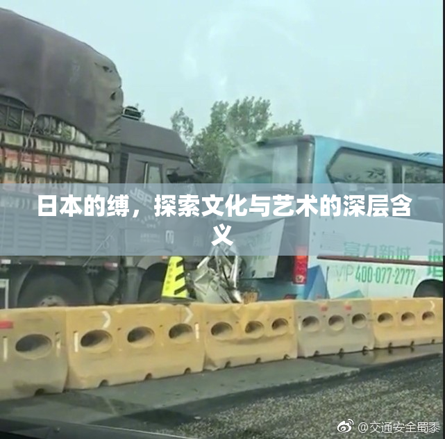 日本的缚，探索文化与艺术的深层含义