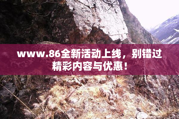www.86全新活动上线，别错过精彩内容与优惠！