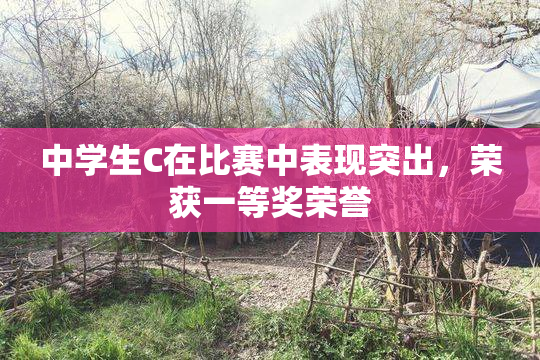 中学生C在比赛中表现突出，荣获一等奖荣誉