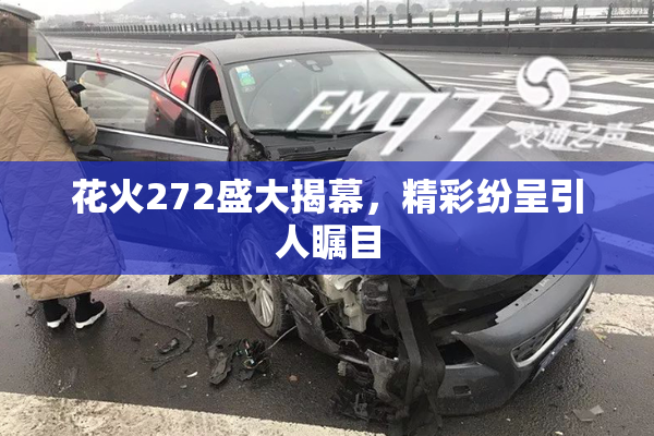 花火272盛大揭幕，精彩纷呈引人瞩目