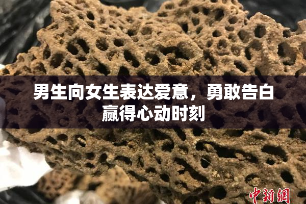 男生向女生表达爱意，勇敢告白赢得心动时刻