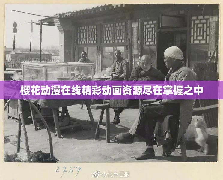 樱花动漫在线精彩动画资源尽在掌握之中