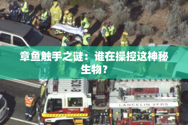 章鱼触手之谜：谁在操控这神秘生物？