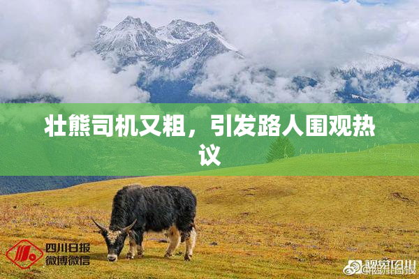 壮熊司机又粗，引发路人围观热议