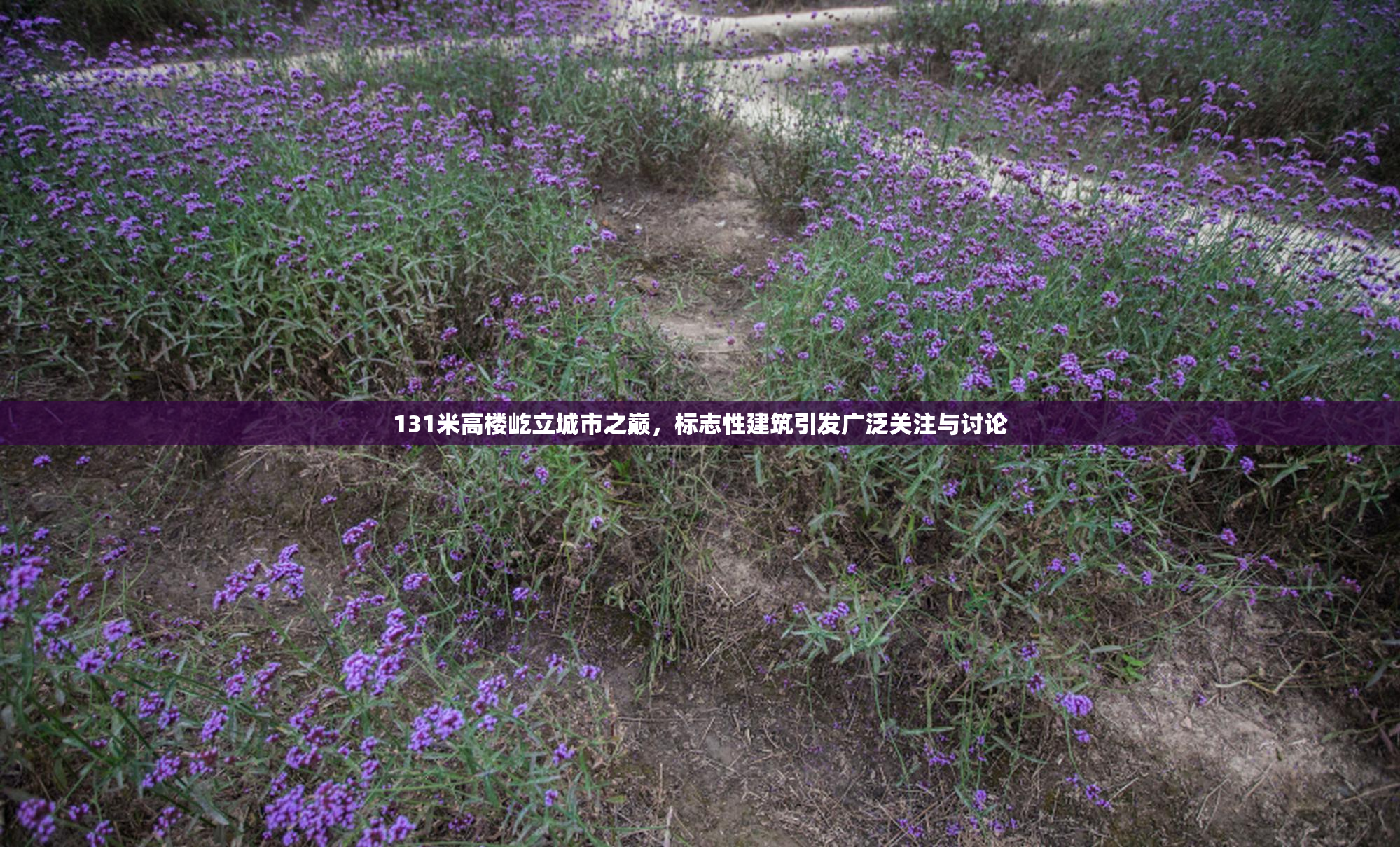 131米高楼屹立城市之巅，标志性建筑引发广泛关注与讨论