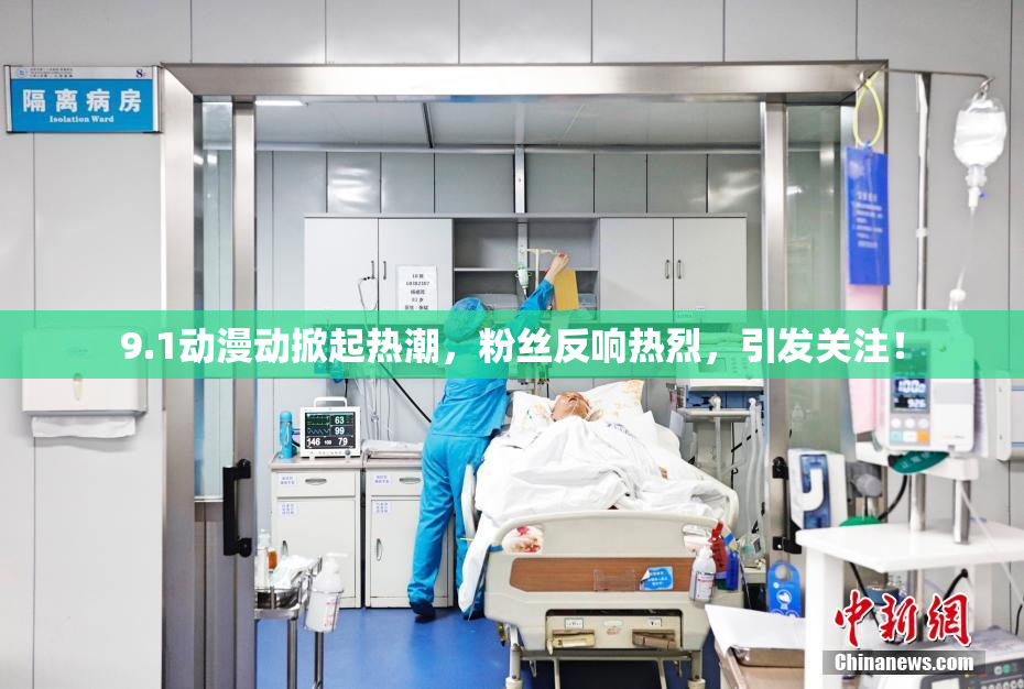 9.1动漫动掀起热潮，粉丝反响热烈，引发关注！