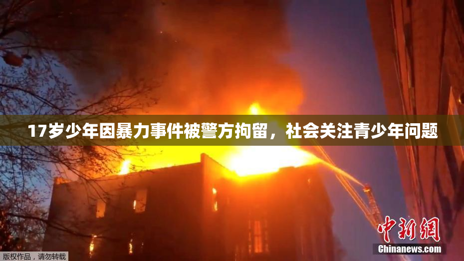 17岁少年因暴力事件被警方拘留，社会关注青少年问题