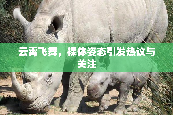 云霄飞舞，裸体姿态引发热议与关注