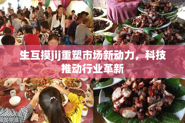 生互摸jij重塑市场新动力，科技推动行业革新
