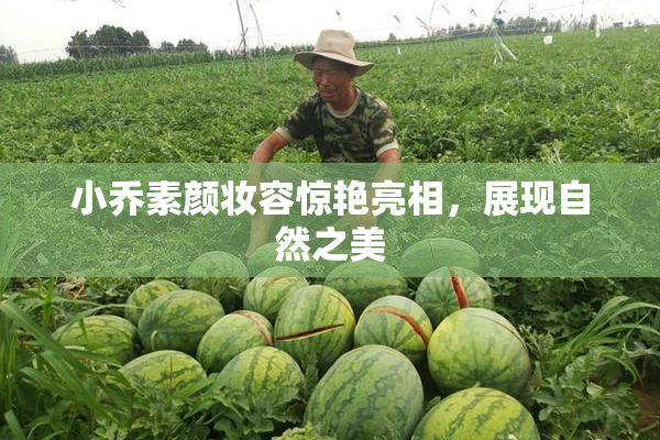小乔素颜妆容惊艳亮相，展现自然之美