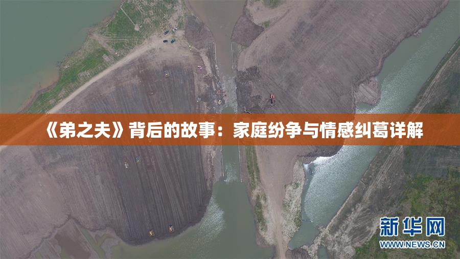 《弟之夫》背后的故事：家庭纷争与情感纠葛详解