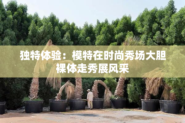独特体验：模特在时尚秀场大胆裸体走秀展风采