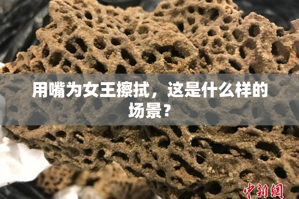 用嘴为女王擦拭，这是什么样的场景？
