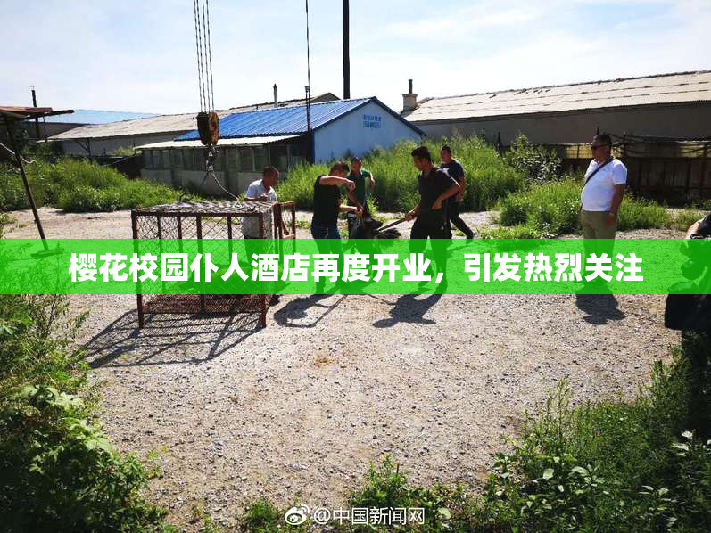 樱花校园仆人酒店再度开业，引发热烈关注