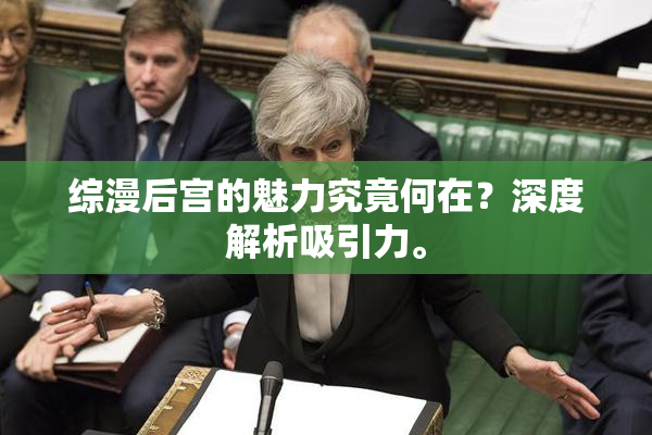综漫后宫的魅力究竟何在？深度解析吸引力。