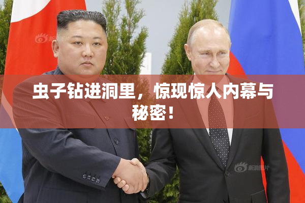 虫子钻进洞里，惊现惊人内幕与秘密！