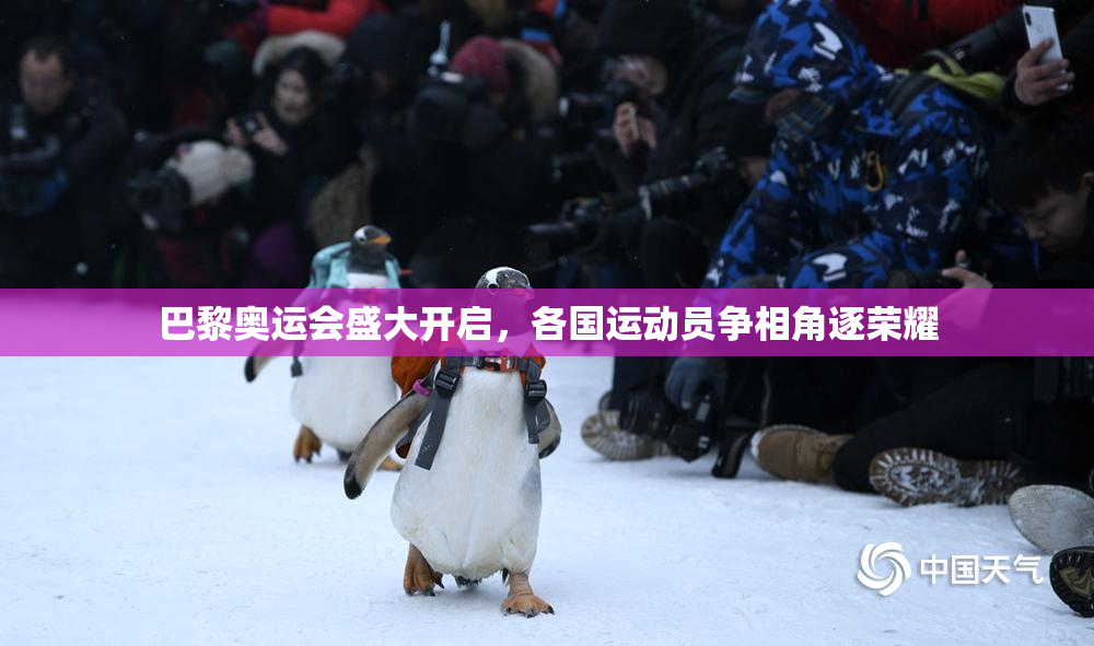 巴黎奥运会盛大开启，各国运动员争相角逐荣耀