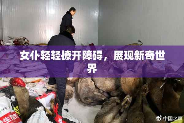 女仆轻轻撩开障碍，展现新奇世界