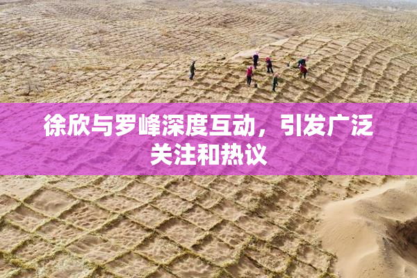 徐欣与罗峰深度互动，引发广泛关注和热议