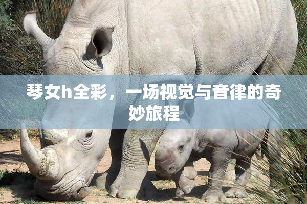 琴女h全彩，一场视觉与音律的奇妙旅程
