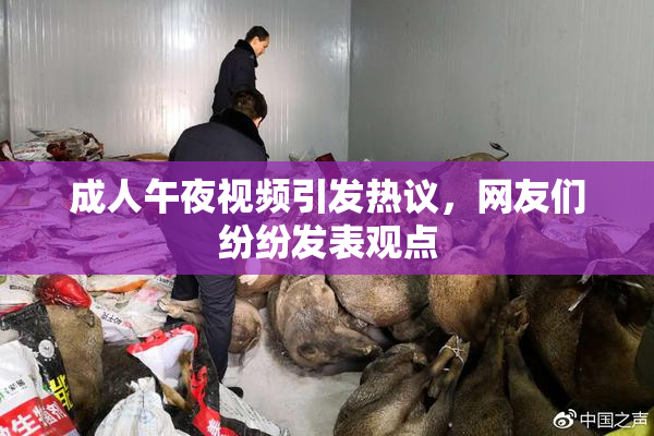 成人午夜视频引发热议，网友们纷纷发表观点