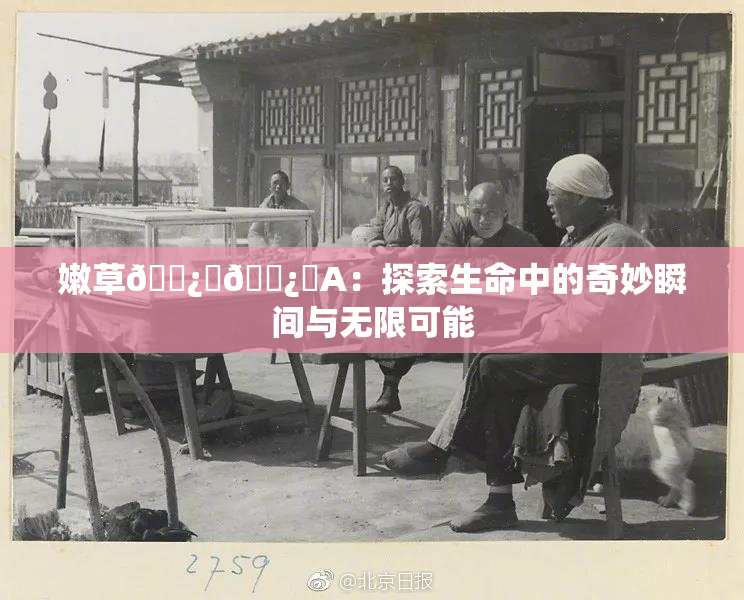 嫩草🌿‌🌿‌A：探索生命中的奇妙瞬间与无限可能