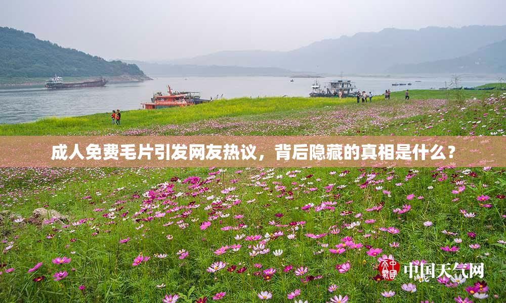 成人免费毛片引发网友热议，背后隐藏的真相是什么？