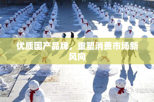 优质国产品牌，重塑消费市场新风向