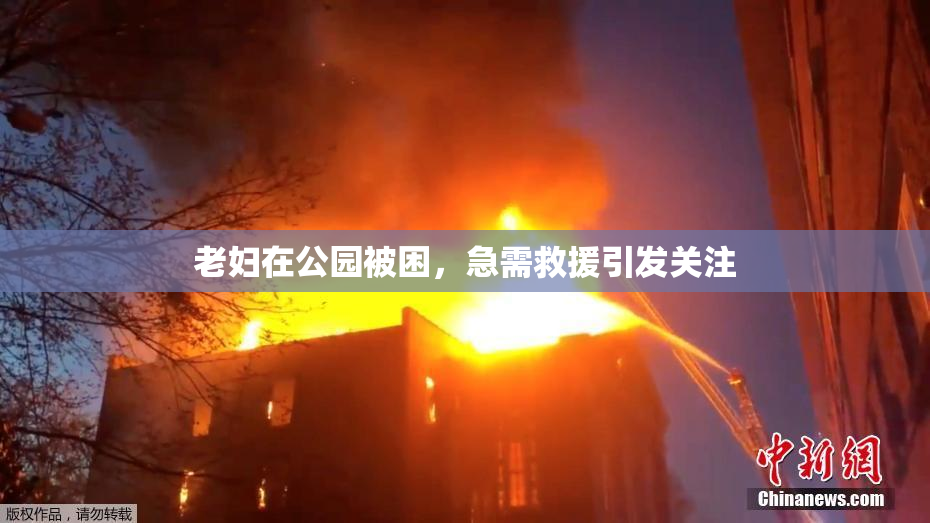 老妇在公园被困，急需救援引发关注