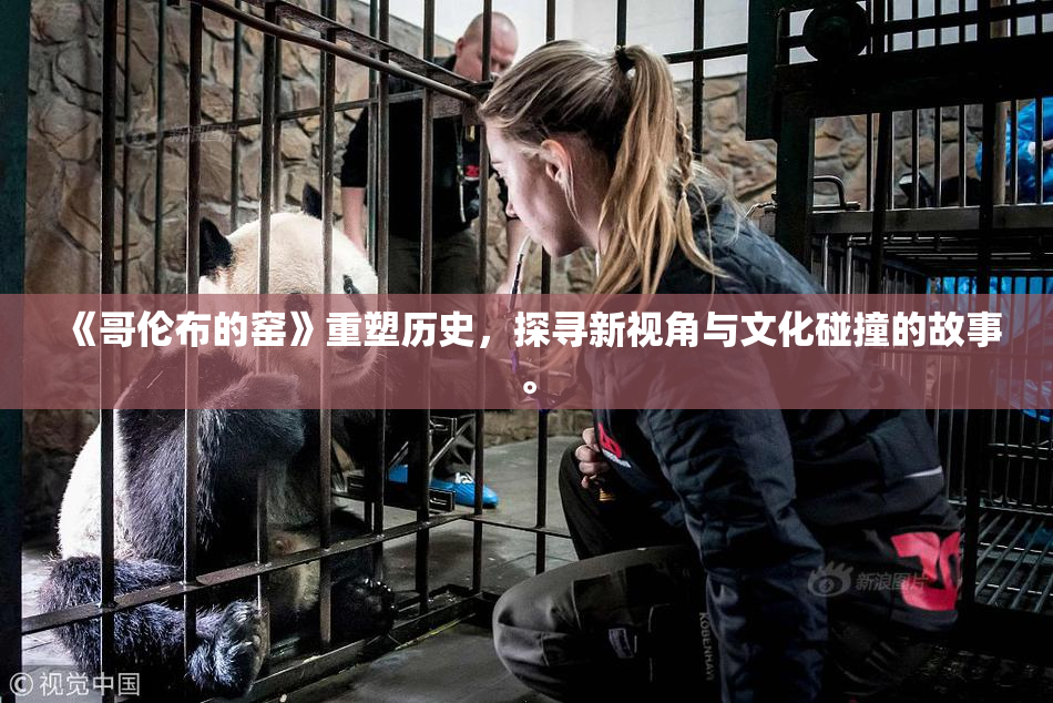 《哥伦布的窑》重塑历史，探寻新视角与文化碰撞的故事。