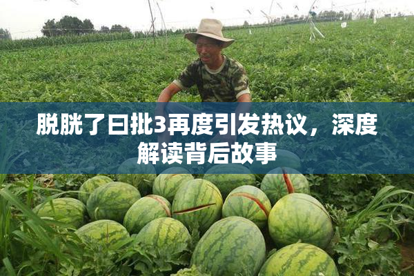 脱胱了曰批3再度引发热议，深度解读背后故事
