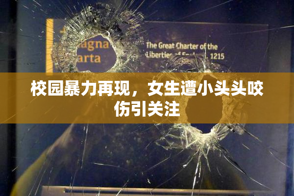 校园暴力再现，女生遭小头头咬伤引关注