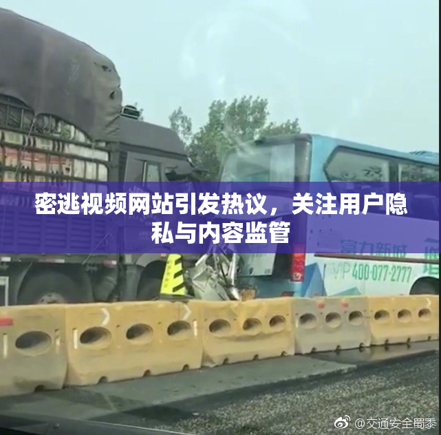 密逃视频网站引发热议，关注用户隐私与内容监管