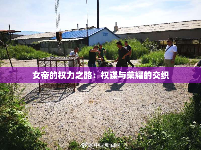 女帝的权力之路：权谋与荣耀的交织
